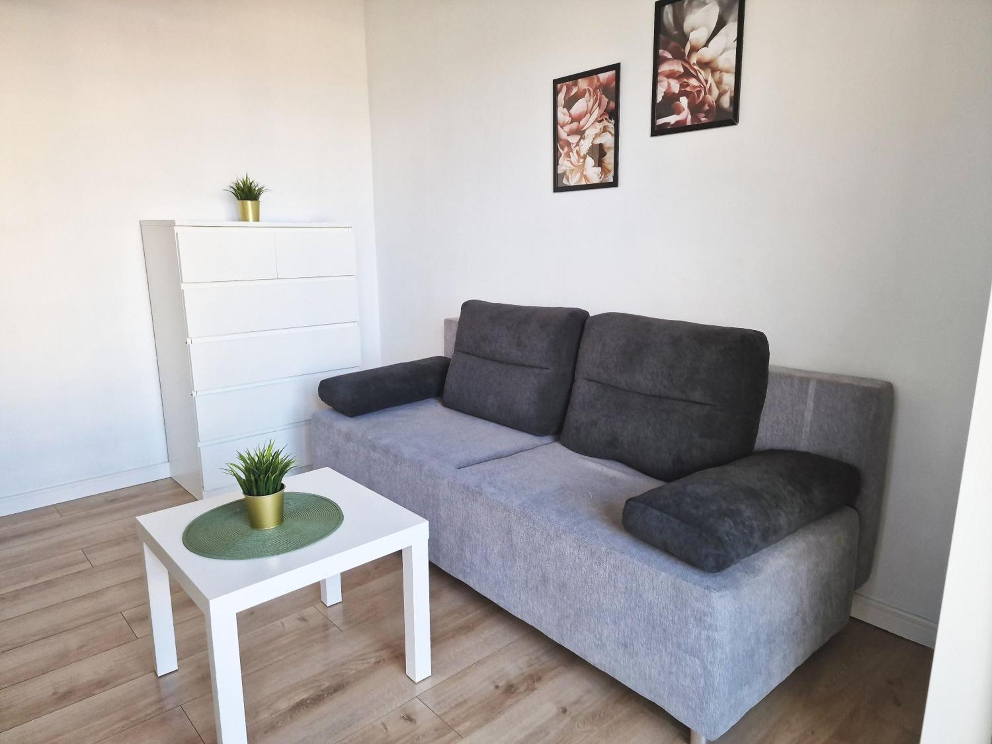 Urban Jungle - Silver Apartment Białystok Extérieur photo
